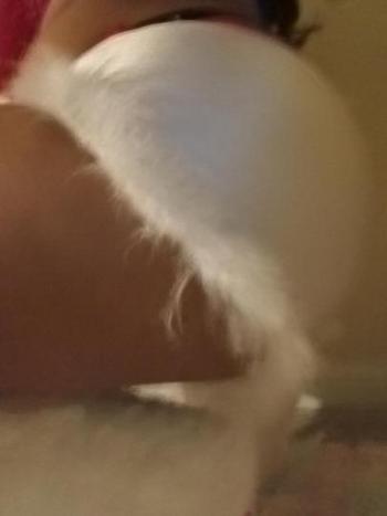 8649025586, female escort, Greenville