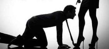 8644758557, female escort, Greenville